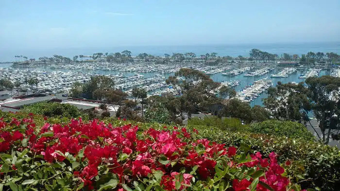 Dana Point bluff overlooking marina