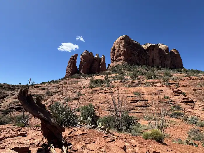 Cathedral Rock Trail