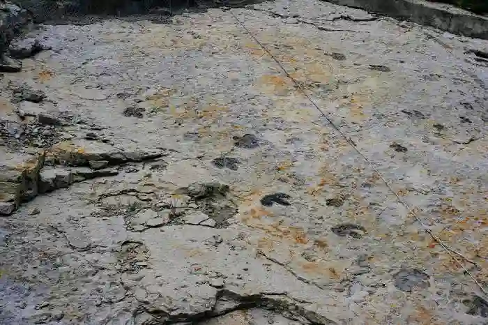 Dinosaur tracks in Colorado