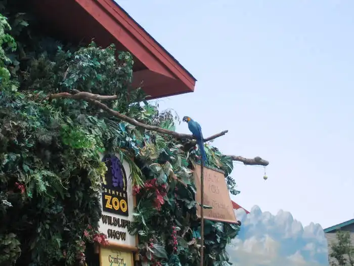 denver zoo