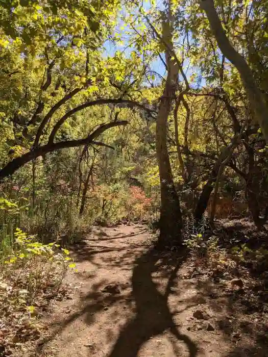 Fossil Creek trail Arizona