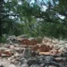 Tusayan Ruins