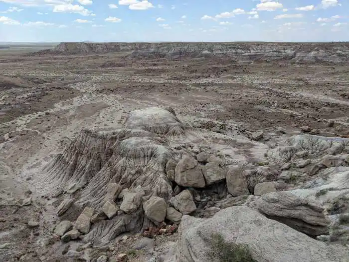 Jasper Forest-Petrified Forest National Park Arizona