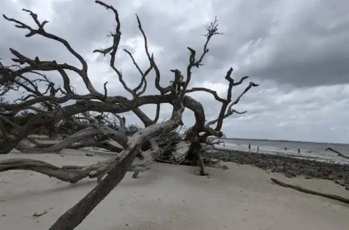 Jekyll Island
