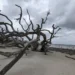 Jekyll Island