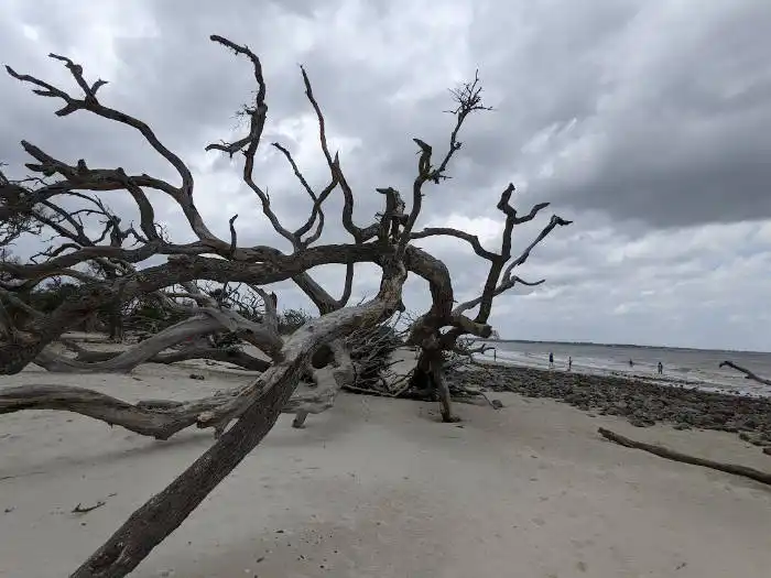 Jekyll Island