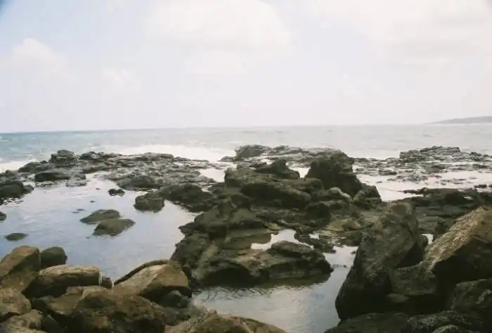 Pools of Mokolea in Hawaii