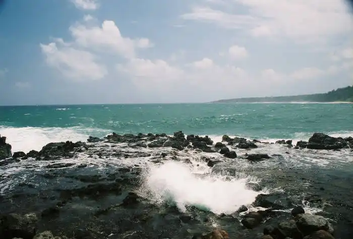 Pools of mokolea