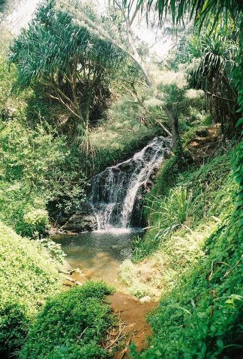 Kauai Queen's Bath Hike