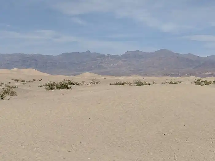 Mesquite Sand Dunes at Death Valley National Park