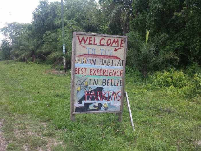 Baboon Habitat in Belize Sign