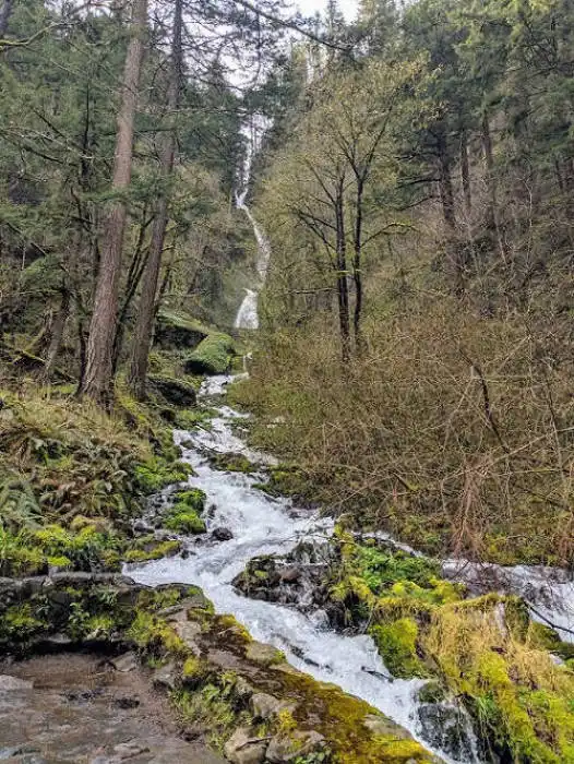 Wahkeena Falls