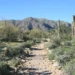 White Tank Trail in Phoenix