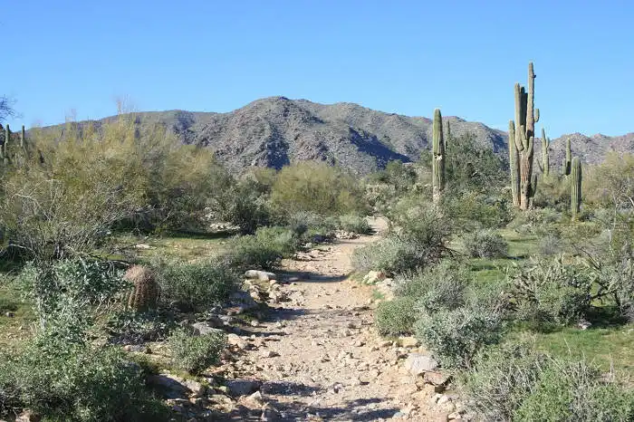 White Tank Trail in Phoenix