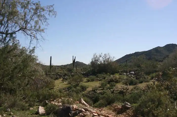 Phoenix White Tank Waterfall Trail
