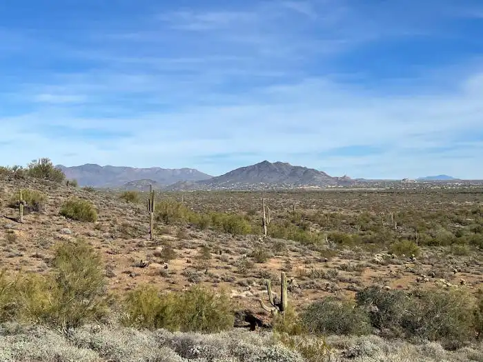 Sonoran Preserve desert