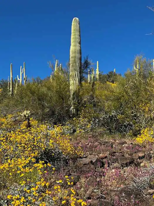 Lake Pleasant hiking