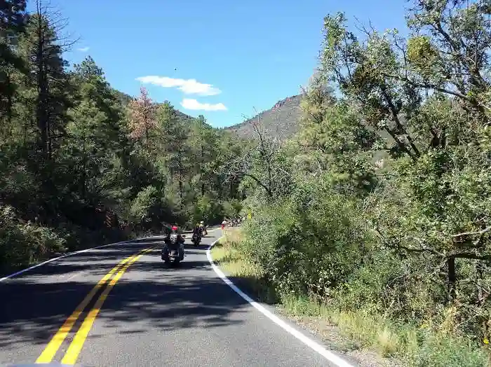 Road through Prescott National Forest