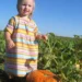 picking pumpkins