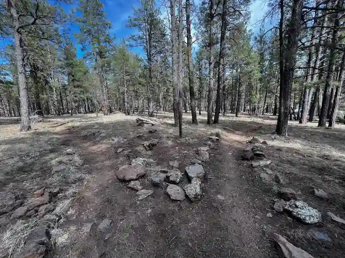 Sycamore Falls trail