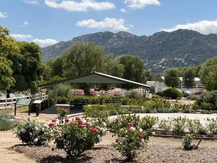 heritage rose garden