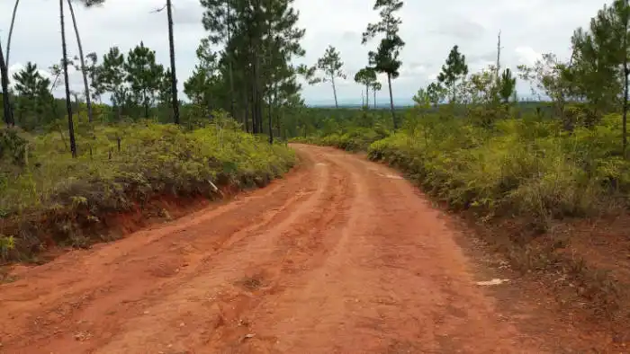 Thousand Foot Falls Road