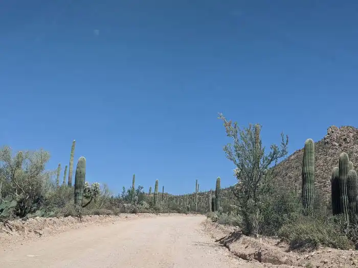 Tucson East Entrance to Saguaro National Park
