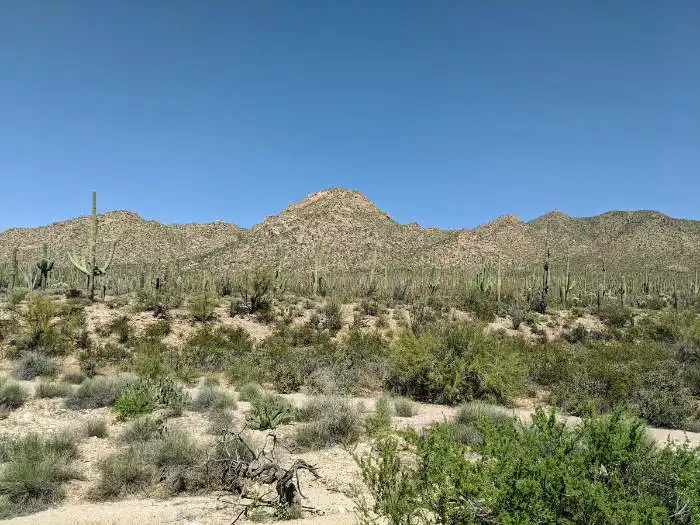 Views from Tucson Visitor Center at National Park