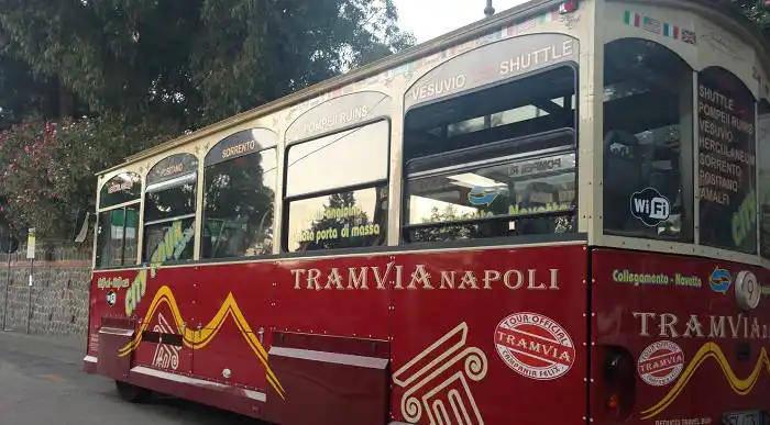Mt Vesuvio Bus