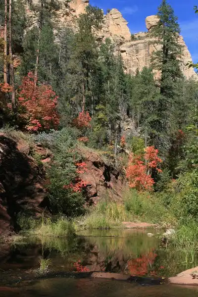 West Fork Trail