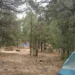 Arizona campground