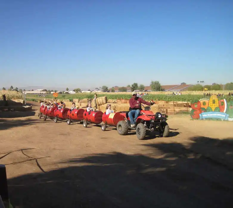 Tomalchoff train