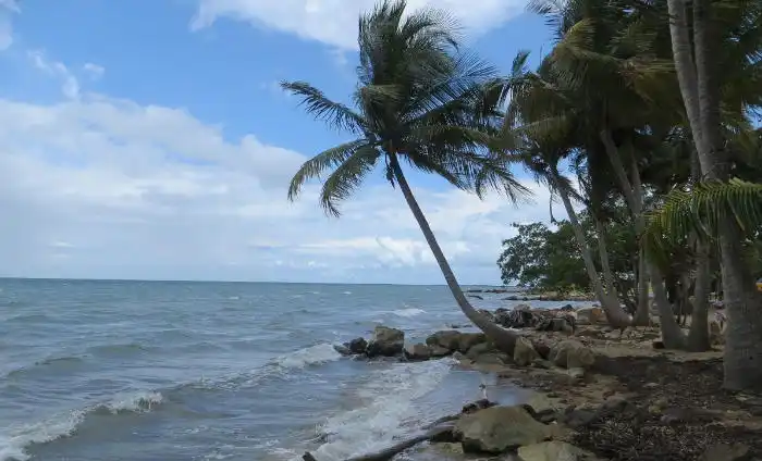 Dangria Beach Belize