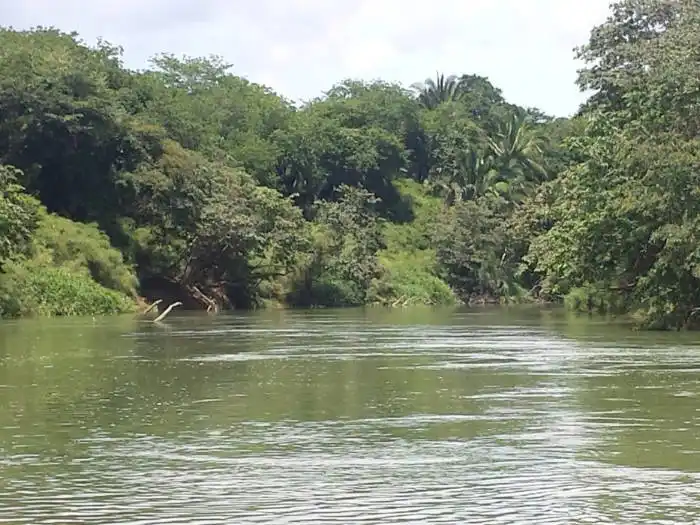 Belize River in June