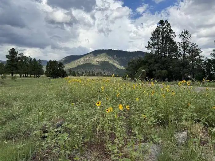 Buffalo Park in Flagstaff