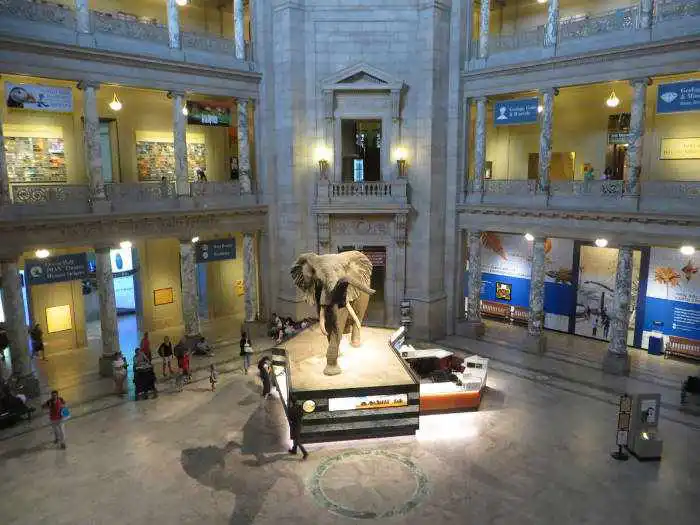 Natural History Museum in DC