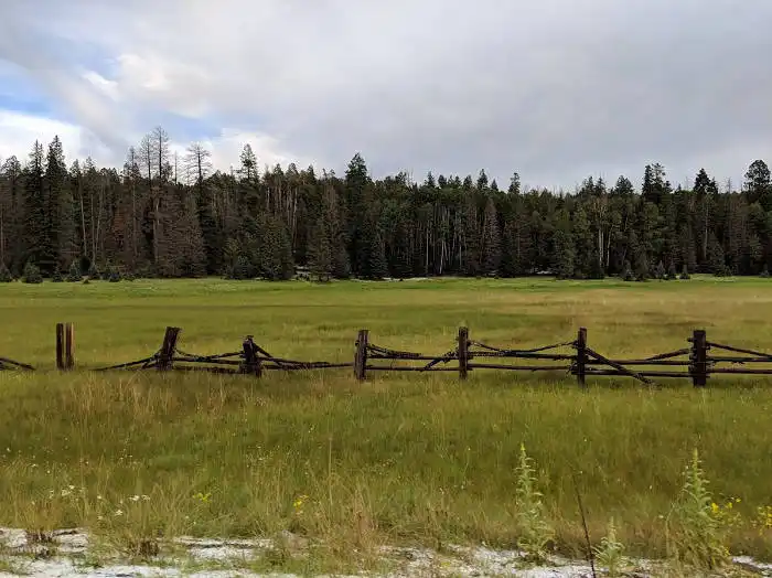 Hannagan Meadow