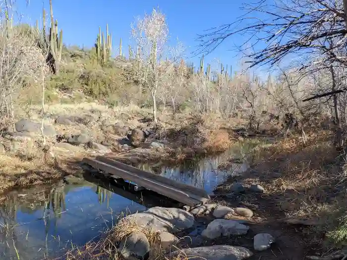 Jewel of the Creek Hike
