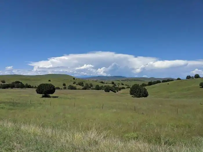 New Mexico