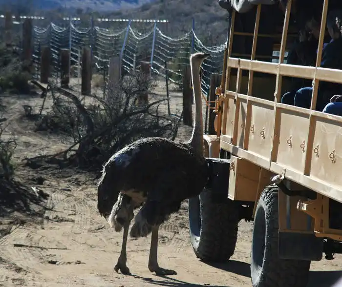 AZ Wildlife Park
