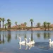Papago Pond at Papago Park in Phoenix