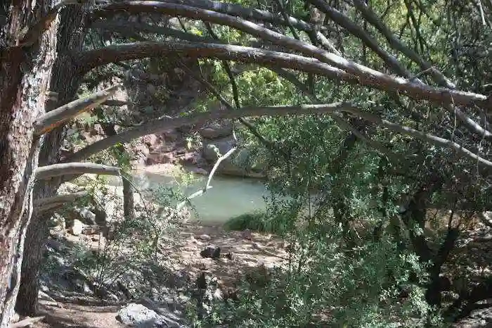 Gowan Trail- payson arizona gowan trail
