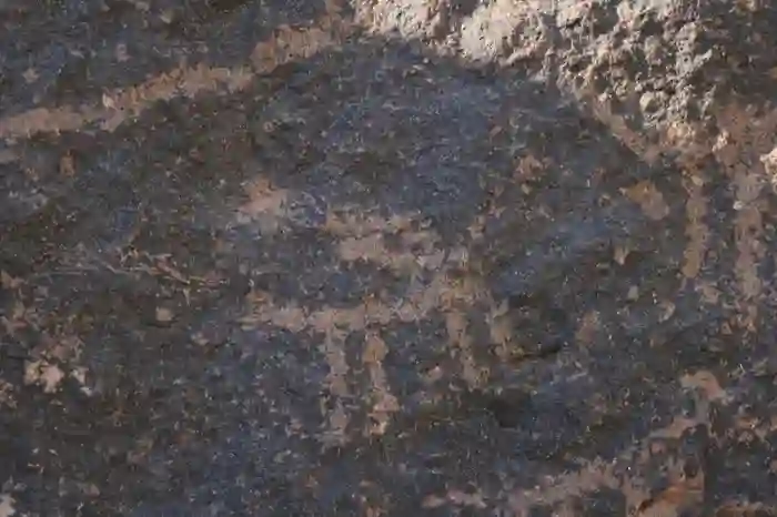 Deer Valley Petroglyphs