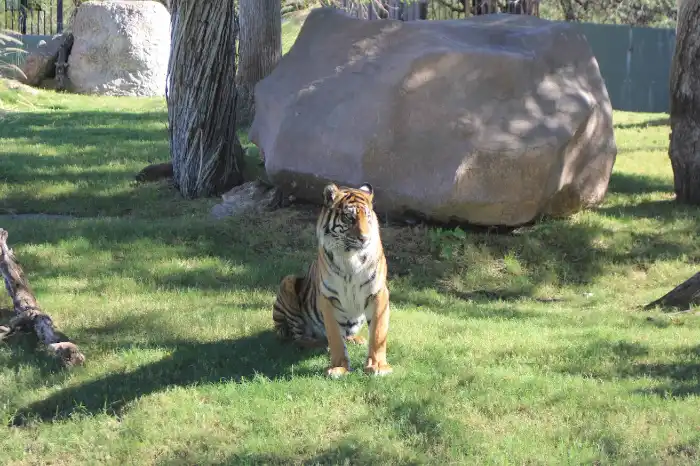 Phoenix Zoo