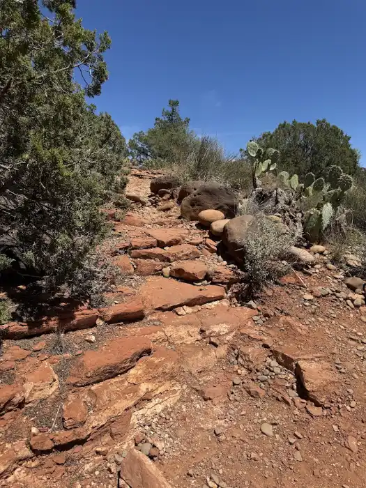 Looking up from the ledge at the stairs