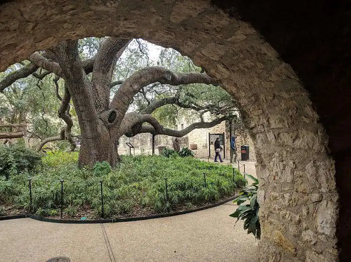 The alamo