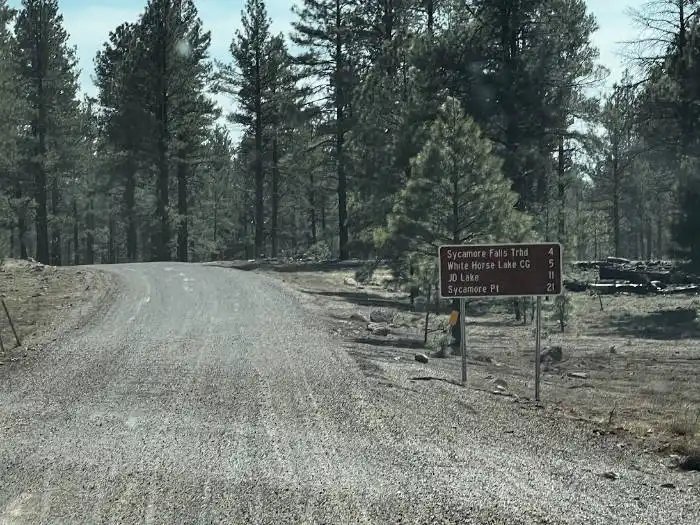 Road to Sycamore Falls
