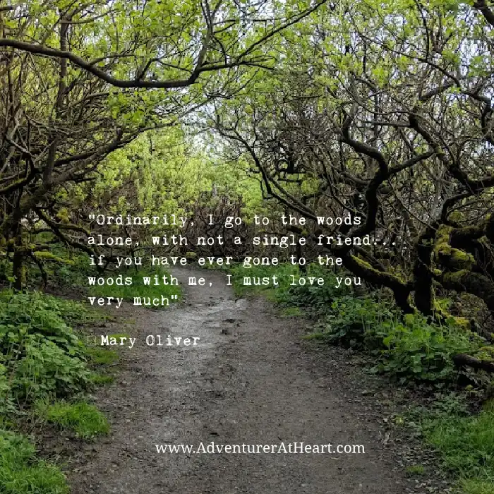 "Ordinarily, I go to the woods alone, with not a single friend... if you have ever gone to the woods with me, I must love you very much. " Mary Oliver