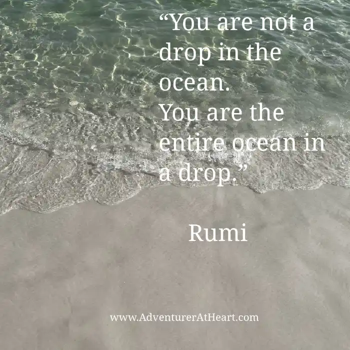 "You are not a drop in the ocean. you are the entire ocean in a drop." Rumi quote