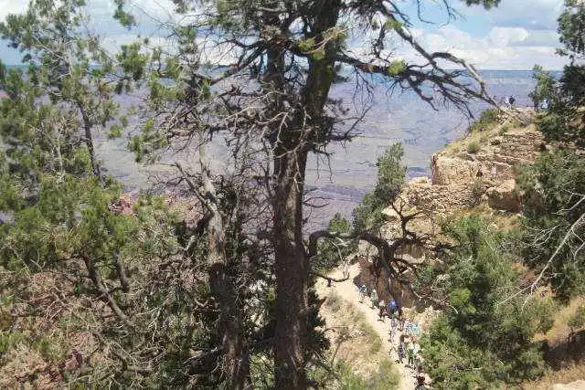 Bright Angel Trail